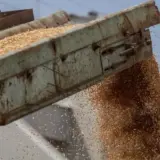 Росія хоче створити зернову біржу у БРІКС