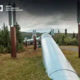 Директор держпідприємства не сплатив майже сто мільйонів податків