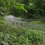 Бої у Сумській області – ЗСУ зупинили просування окупантів на Сумщині