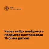 На Чернігівщині у дитини в руках спрацювала вибухівка