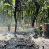 Пожежа у Києві – спалахнув парк динозаврів
