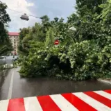 Названы киевские улицы, где движение усложнено из-за падения деревьев