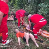На Одещині дерево вбило дитину