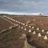 На Харьковщине государству вернули земли обороны