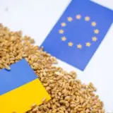 Угорщина та Словаччина хочуть захиститися від українського імпорту