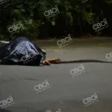 Убийство Понырко в Кривом Роге
