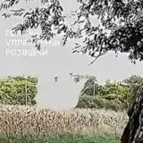 Бойцы ГУР ликвидировали подполковника «Росгвардии»