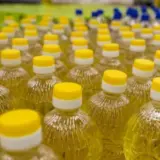 В Украине может подорожать подсолнечное масло из-за плохого урожая подсолнечника