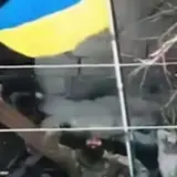 Українські десантники звільнили Кучерів Яр
