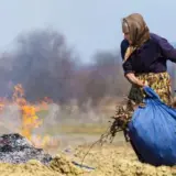 Названо суми штрафів в Україні за спалювання опалого листя