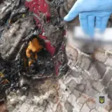 На Киевщине мать заживо сожгла своего сына