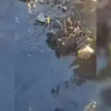 Страна-агрессор атаковала гражданское судно в Черном море