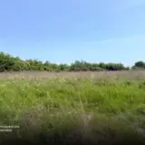 Чиновники создали схему незаконной приватизации земли на Волыни