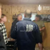 На Львовщине незаконно вырубили леса на 15 миллионов