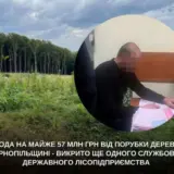 На Тернопольщине вырубили деревьев на 60 миллионов