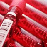 У довгожителів найчастіше зустрічається перша група крові – I (0)