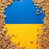 Зерно України – РФ вкрала українського зерна на 400 мільйонів
