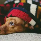 На 15 лютого у Києві без опалення залишаються 1100 будинків – Кличко