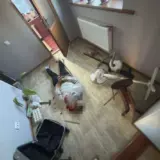 Зять замовив вбивство тещі на Київщині