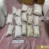 Боец НГУ создал нарколабораторию с миллионным оборотом