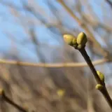 Погода в Україні 26 березня – Укргідрометцентр обіцяє теплий день