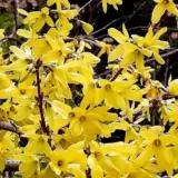 Погода в Україні 15 квітня – Укргідрометцентр прогнозує потепління