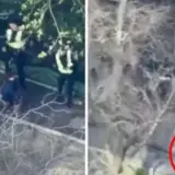 Опубліковано відео з бодікамер поліцейських, які втекли з місця теракту в Києві – дивитися відео