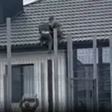 ТЦКашники сбросили с крыши мужчину под Луцком