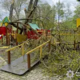 На Буковині дерева впали на дитячий майданчик