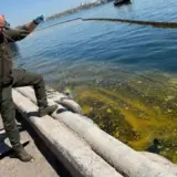 Обстріл Одеської області – тонни соняшникової олії вилились у море