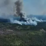 Пожар в Черниговской области – на границе с Россией из-за обстрелов горит 2400 гектаров леса