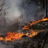 Пожежа у Зоні відчуження