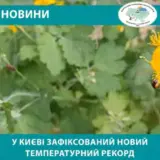 Погода в Киеве – зафиксировали новый температурный рекорд