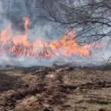 Уточнена ситуация с радиацией на 10 мая в связи с масштабным пожаром в Чернобыльской зоне