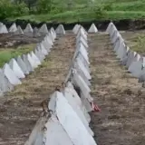 Одесу готують до кругової оборони