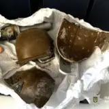 В Виннице школьник принес в класс гранату: произошел взрыв