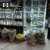 У Києві вилучили контрафактних сигарет на 12 мільйонів