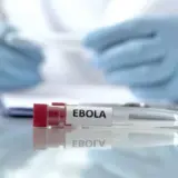 ВООЗ повідомила про майже 500 підтверджених випадків зараження Еболою в Центральній Африці